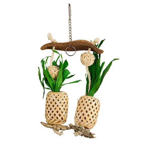 BB Pineapple Paradise-Parrot Supplies Australia