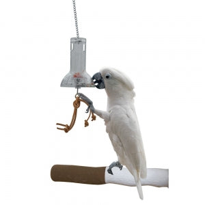 FP Foraging capsule-Toys-Parrot Supplies Australia