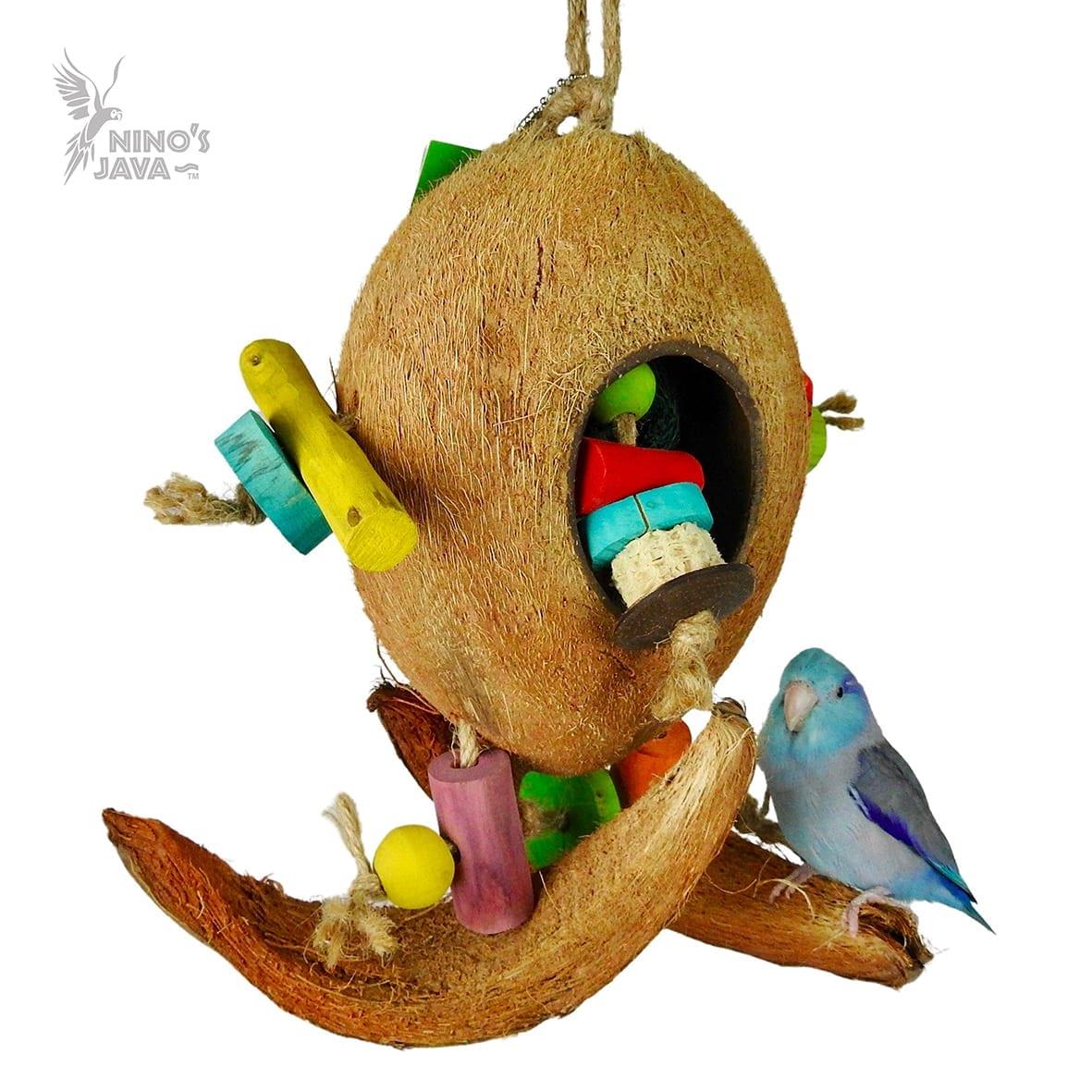 NJ Coco Surf-Parrot Supplies Australia