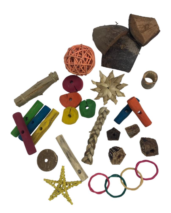 NJ Foraging Fun Pack-Parrot Supplies Australia