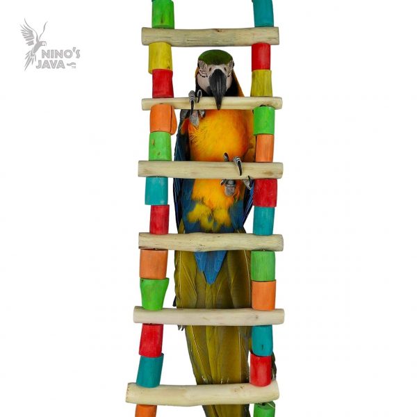 NJ Giant Ladder-Parrot Supplies Australia