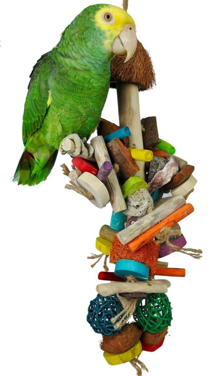 NJ Java Bush-Parrot Supplies Australia