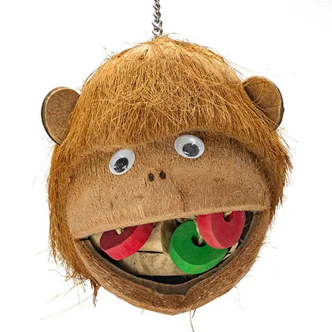 NJ Meet the Monkeys-Parrot Supplies Australia