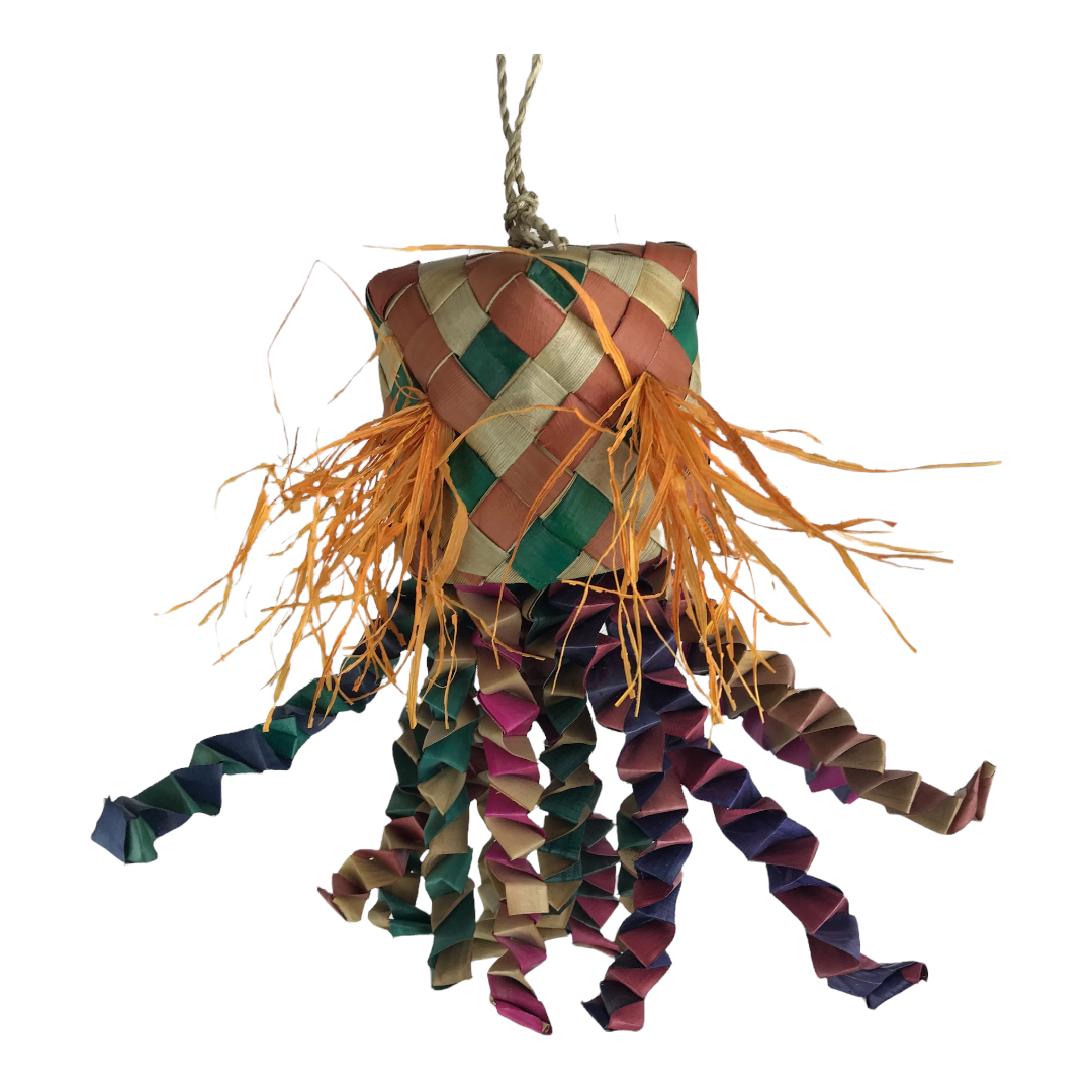 NJ Octopus-Parrot Supplies Australia