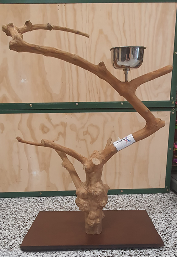 NJ Tabletop Stand-Parrot Supplies Australia