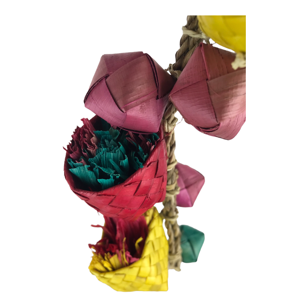 NJ Tree Houses-Parrot Supplies Australia