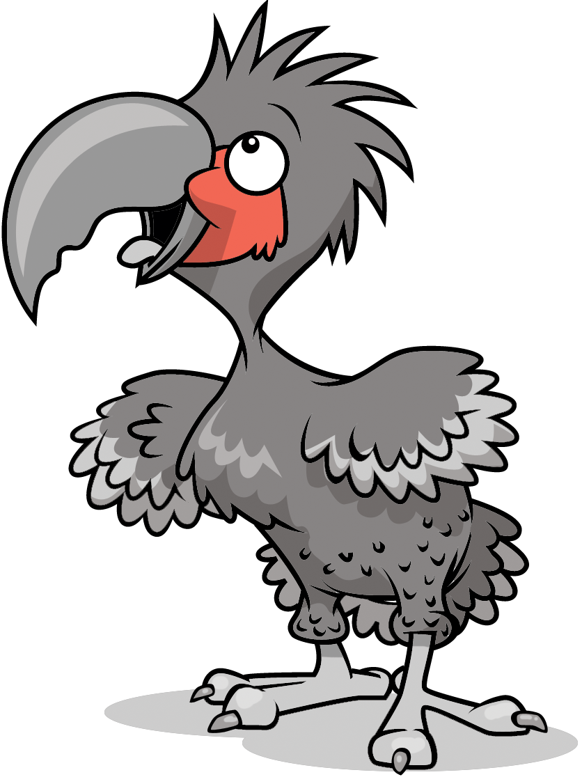 Syringes & Feeding Spoons.