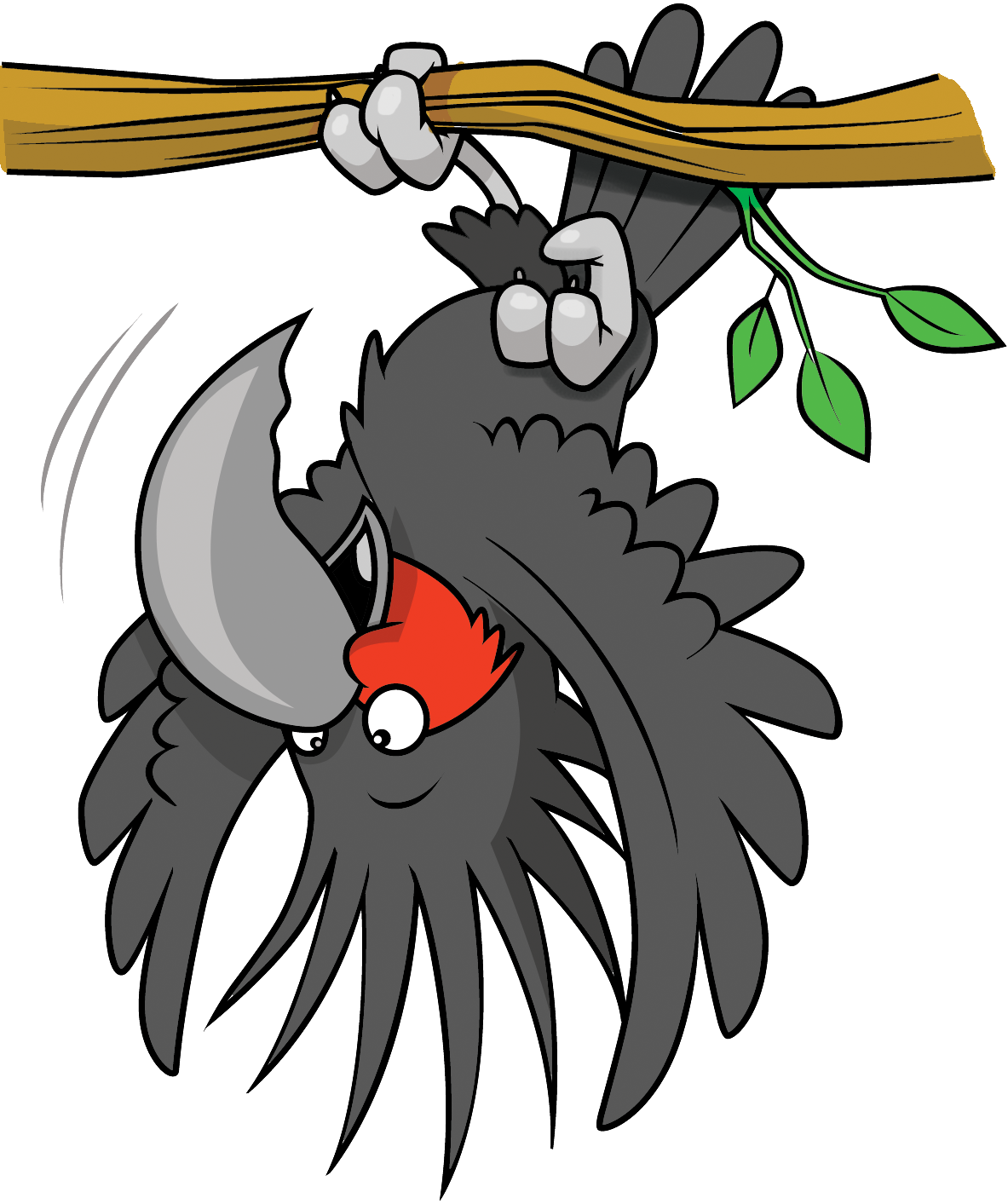 Perches, Ladders & Swings.