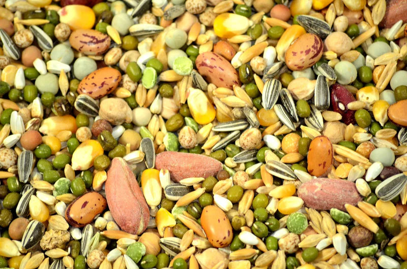 Seeds, Grains & Legumes.