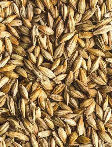 15 - 25KG BULK BAG SEED-Seeds & Grains-Parrot Supplies Australia