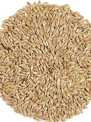 15 - 25KG BULK BAG SEED-Seeds & Grains-Parrot Supplies Australia