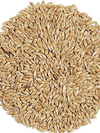 15 - 25KG BULK BAG SEED