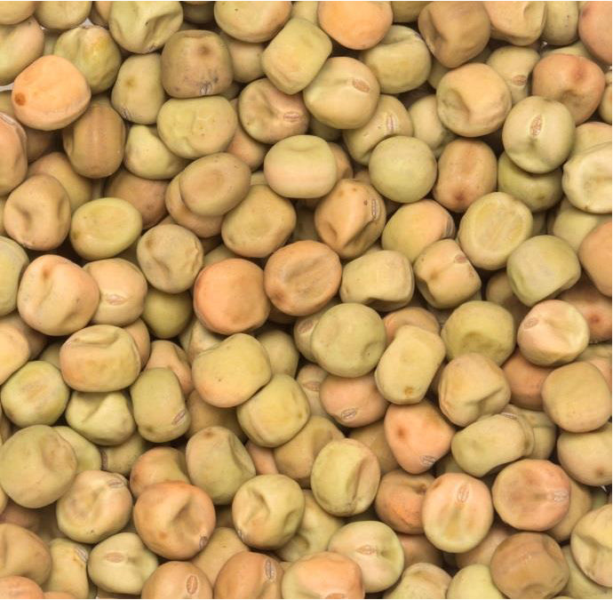 15 - 25KG BULK BAG SEED-Seeds & Grains-Parrot Supplies Australia