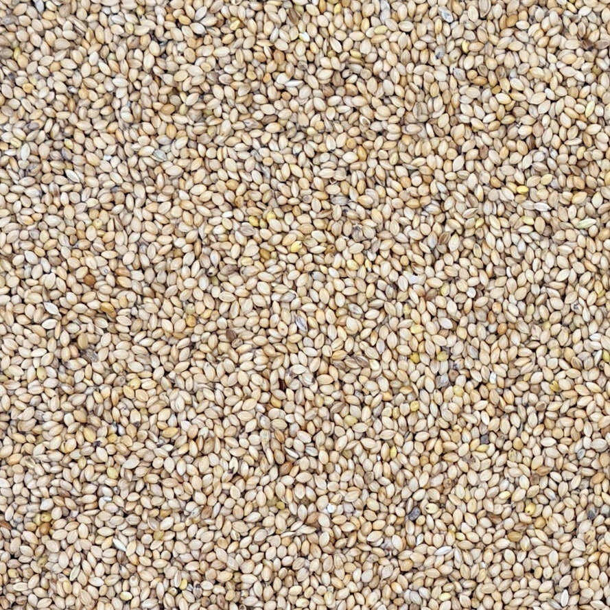 15 - 25KG BULK BAG SEED-Seeds & Grains-Parrot Supplies Australia
