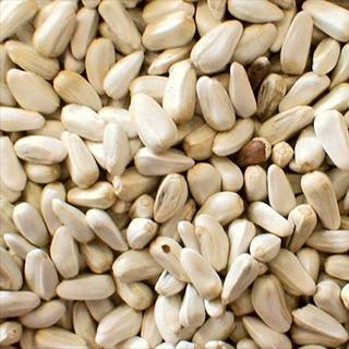 15 - 25KG BULK BAG SEED-Seeds & Grains-Parrot Supplies Australia