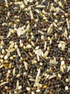 15 - 25KG BULK BAG SEED