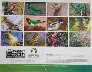 2025 Parrot Trust of Australia Calendar-Other-Parrot Supplies Australia