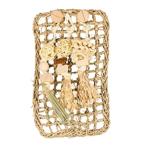 BB Play Wall-Parrot Supplies Australia