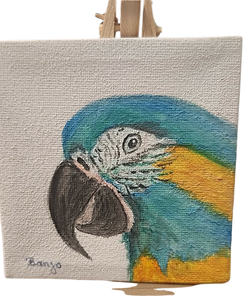 Banjo Canvas-Parrot Supplies Australia