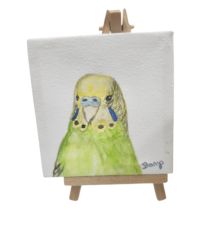 Banjo Canvas-Parrot Supplies Australia