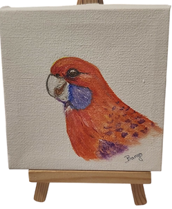 Banjo Canvas-Parrot Supplies Australia