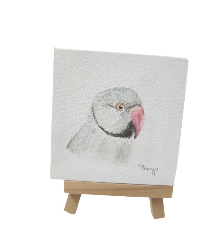 Banjo Canvas-Parrot Supplies Australia