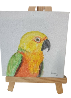 Banjo Canvas-Parrot Supplies Australia