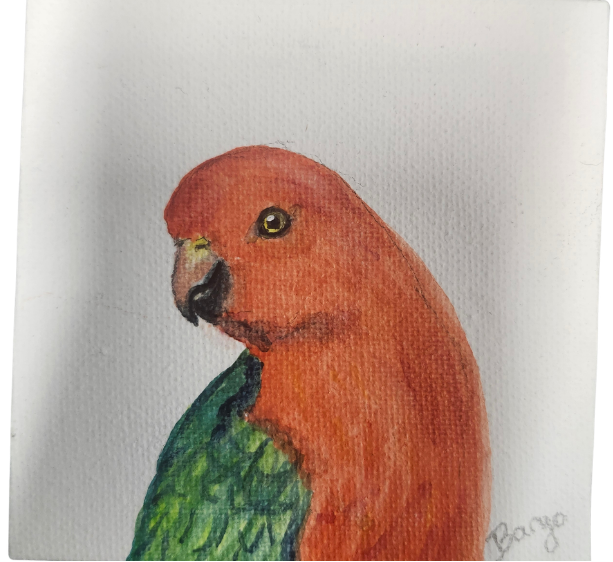 Banjo Canvas-Parrot Supplies Australia