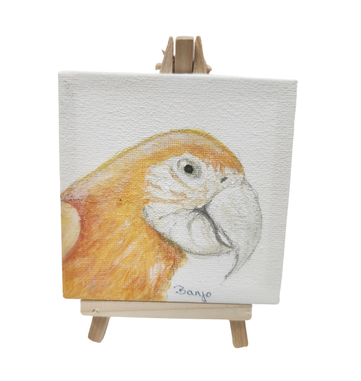 Banjo Canvas-Parrot Supplies Australia