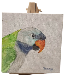 Banjo Canvas-Parrot Supplies Australia