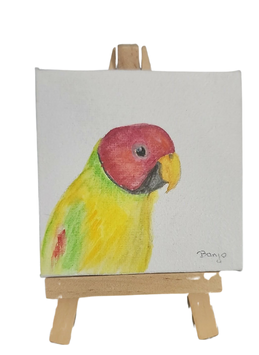 Banjo Canvas-Parrot Supplies Australia