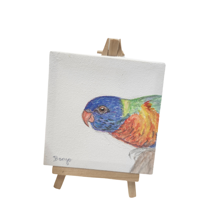 Banjo Canvas-Parrot Supplies Australia