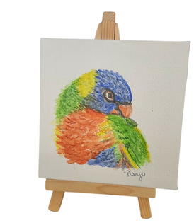 Banjo Canvas-Parrot Supplies Australia