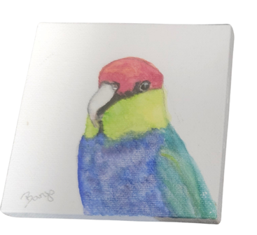 Banjo Canvas-Parrot Supplies Australia