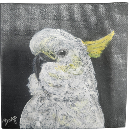 Banjo Canvas-Parrot Supplies Australia