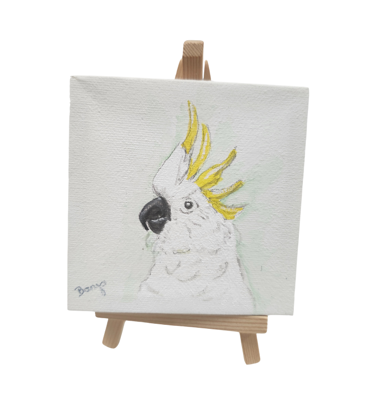 Banjo Canvas-Parrot Supplies Australia