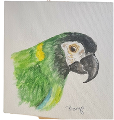 Banjo Canvas-Parrot Supplies Australia