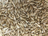 Barley 20Kg