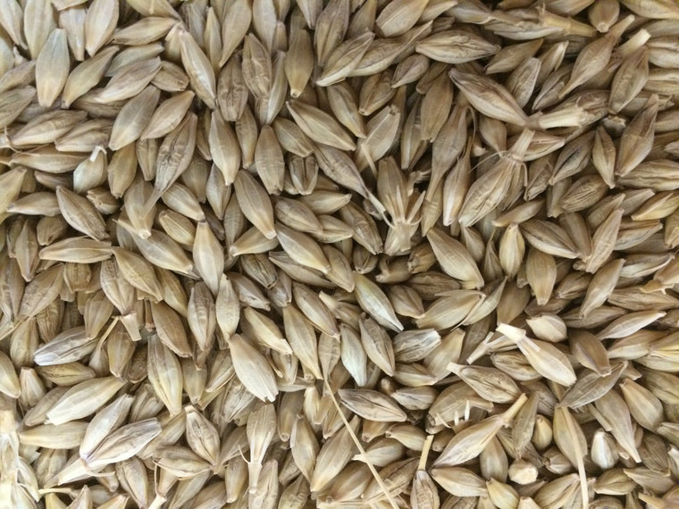 Barley 20Kg