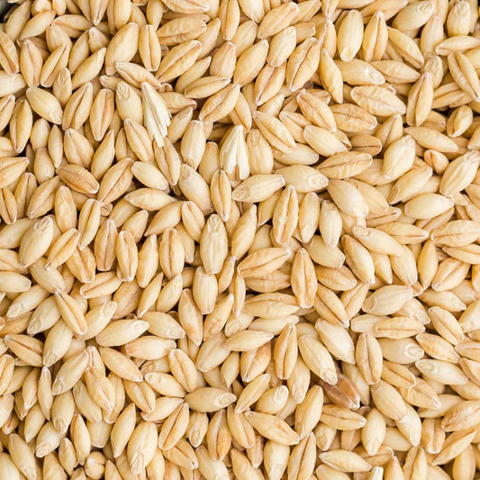 Barley-Parrot Supplies Australia