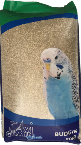 Budgie Blue-Seeds & Grains-Parrot Supplies Australia