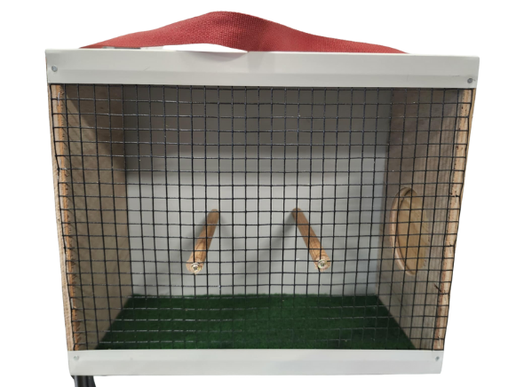 Carry Box / Show Cage-Freight & Transport Boxes-Parrot Supplies Australia
