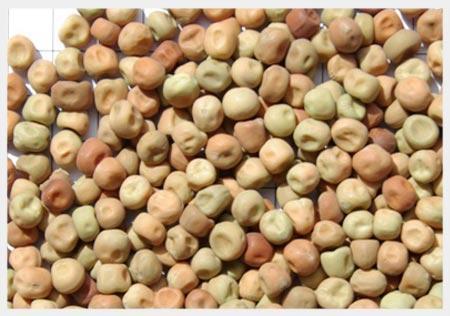 Dun Peas-Nuts & Legumes-Parrot Supplies Australia