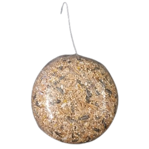 EP Lollipop Seedbells-Parrot Supplies Australia