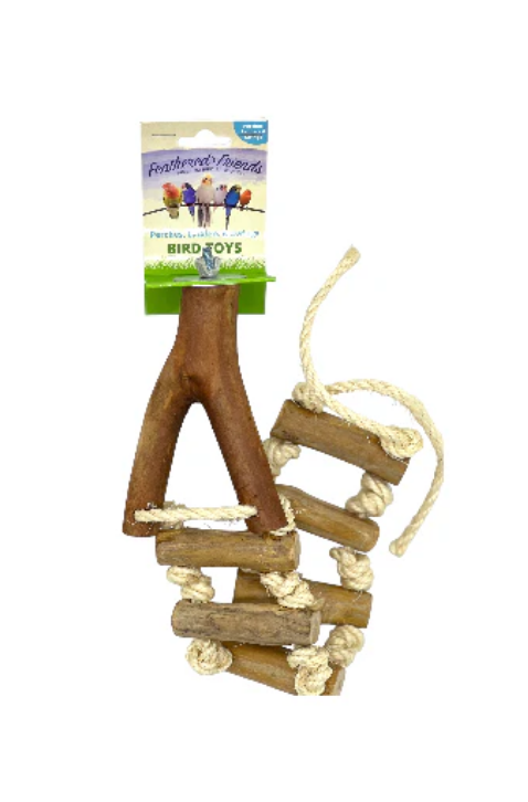 FF Java Ladder perch-Toys-Parrot Supplies Australia