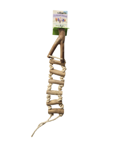 FF Java Ladder perch (XP)-Toys-Parrot Supplies Australia