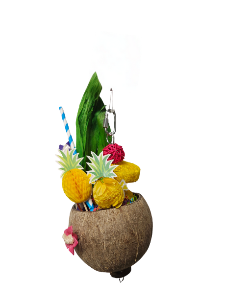 FF Pina Colada-Bird Toys-Parrot Supplies Australia