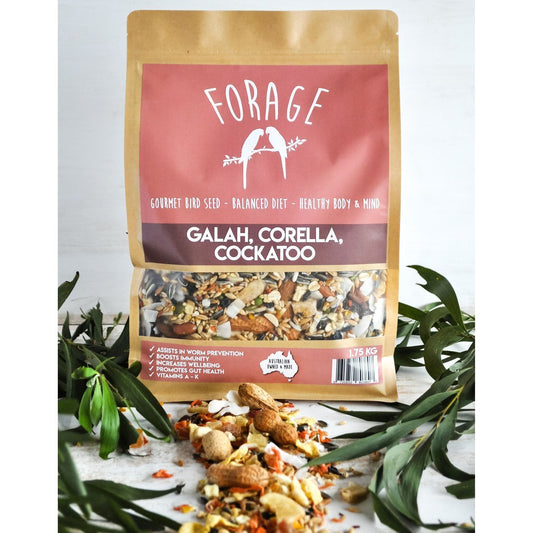 Forage Cockatoo, Galah and Corella Mix-Feeding & Accessories-Parrot Supplies Australia