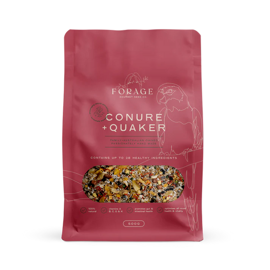 Forage Conure and Quaker Mix-Parrot Supplies Australia