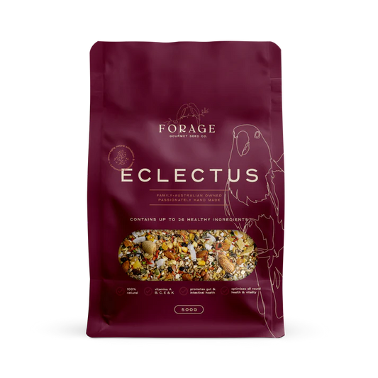 Forage Eclectus Mix-Seeds & Grains-Parrot Supplies Australia